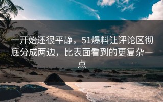 一开始还很平静，51爆料让评论区彻底分成两边，比表面看到的更复杂一点