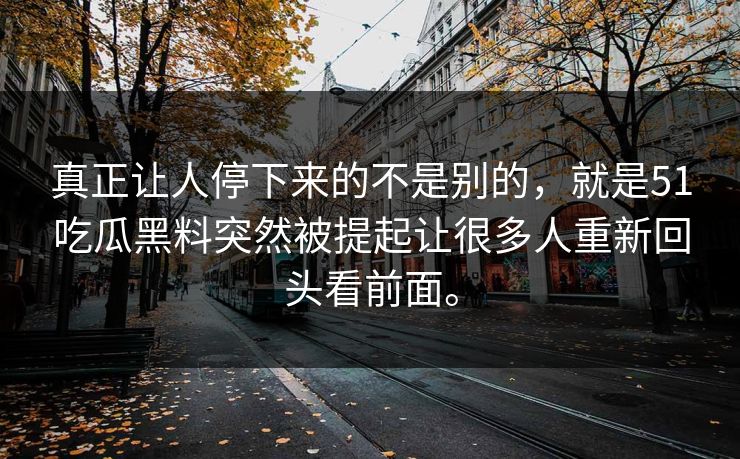 真正让人停下来的不是别的，就是51吃瓜黑料突然被提起让很多人重新回头看前面。-第1张图片-51黑料网 - 娱乐猛料第一站