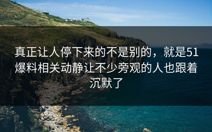 真正让人停下来的不是别的，就是51爆料相关动静让不少旁观的人也跟着沉默了-第1张图片-51黑料网 - 娱乐猛料第一站