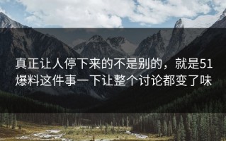 真正让人停下来的不是别的，就是51爆料这件事一下让整个讨论都变了味