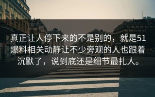 真正让人停下来的不是别的，就是51爆料相关动静让不少旁观的人也跟着沉默了，说到底还是细节最扎人。