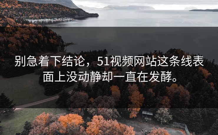 别急着下结论，51视频网站这条线表面上没动静却一直在发酵。