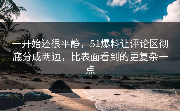 一开始还很平静，51爆料让评论区彻底分成两边，比表面看到的更复杂一点-第1张图片-51黑料网 - 娱乐猛料第一站
